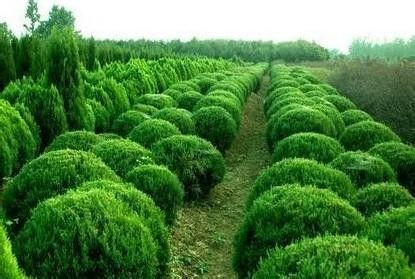 造型独特，吸引眼球