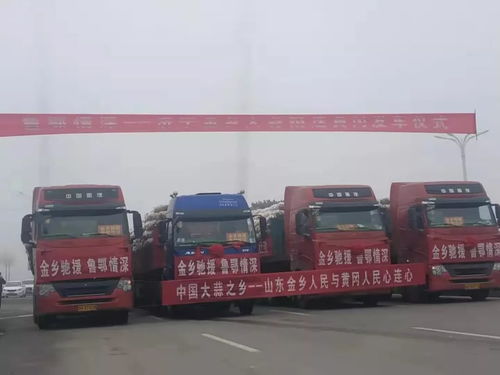 墨西哥本季向巴西出口400吨大蒜