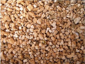 蛭石：神奇的土壤替代品