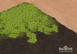 特效药剂，你了解吗？