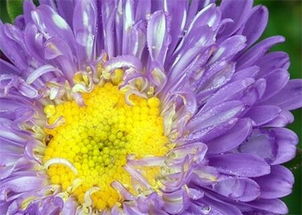 一、种子挑选，至关重要