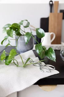 修剪不当， 花儿枝繁叶茂不开花