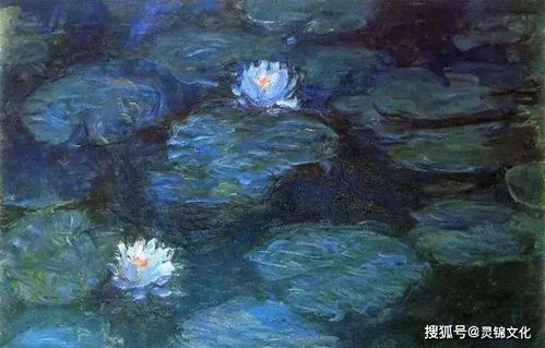 睡莲的寿命：活多久，取决于你的呵护