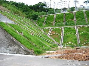 选择合适的路基防护草种的重要性