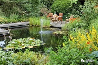 池塘边种植：那些“绿意盎然”的选择