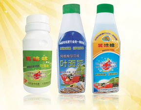 安徽正心野生茶油，品质卓越，价格亲民，一桶多少钱？