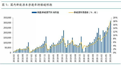 灵芝在不同温度和湿度条件下其生长周期有何差异