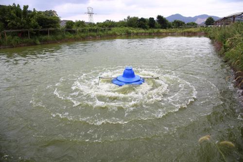 鱼塘增氧机在哪些天气或时间段不需要开启？