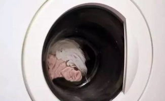 衣物不可氯洗，机洗可行吗？揭秘洗衣奥秘！