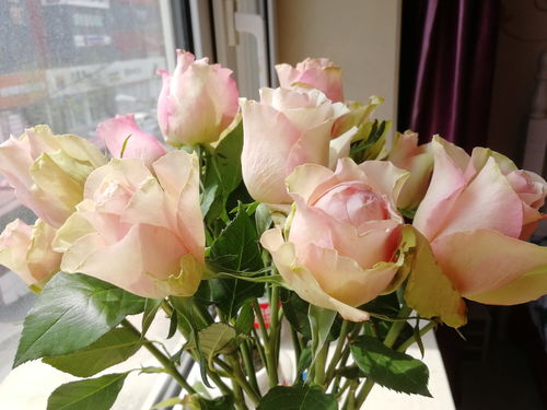 网购，方便还是不靠谱？