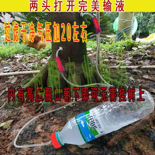 果树吊针营养液配方比例中，吊瓶输液压强原理是如何影响营养液吸收的？