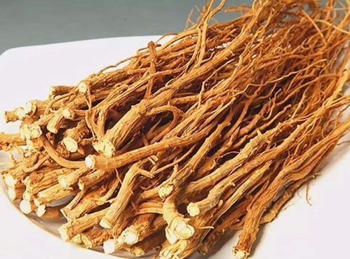 新时代农民的智慧：左手锄头右手计算器