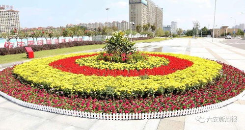 国庆花卉景观如何打造 | 哪些花卉可用来打造国庆景观花坛？, 视频, 椰视频 对不起，您当前浏览器不支持video标签。