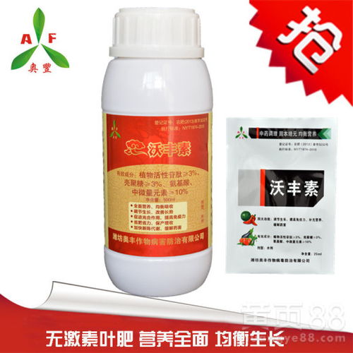 芒果花期管理要点