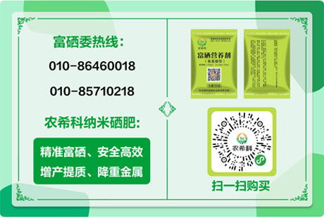正常全价猪饲料的颜色是金黄还是灰白？哪种颜色更符合其营养成分？