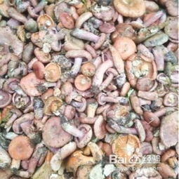 焯水去除蘑菇杂质