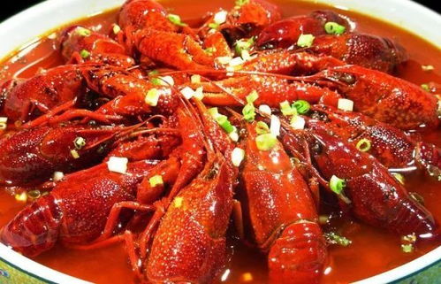 沉水植物、浮水植物、挺水植物，哪个好？