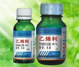 2. 对植物根系的影响