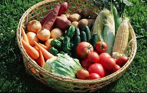 五、 萝卜：清脆可口，营养丰富