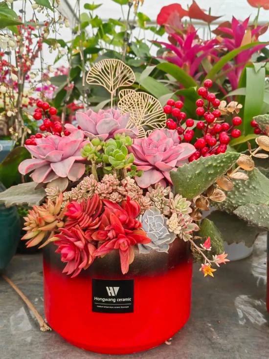 国庆花市启示录：哪些秋花既嫩抗寒又美得不行？