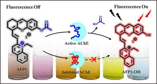 科学检测方法的重要性