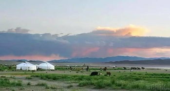 风电场间隙， 种植多样经济作物