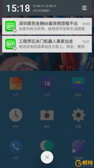 拍一拍， 树种知多少