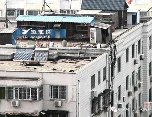 休闲娱乐， 楼顶也嫩嗨