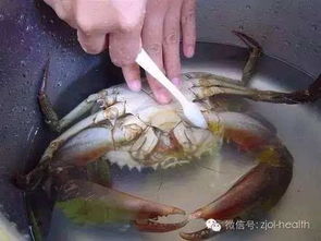 螃蟹的农药残留恐惧症