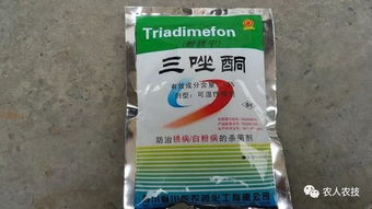 农药30丙环唑：作物药害的“双刃剑”