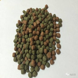 益生菌和维生素添加到饲料中，对改善肉质和营养价值有哪些具体好处？