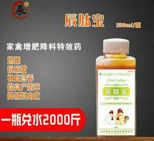 “抗氧化维生素助力家禽抗热应激养殖”