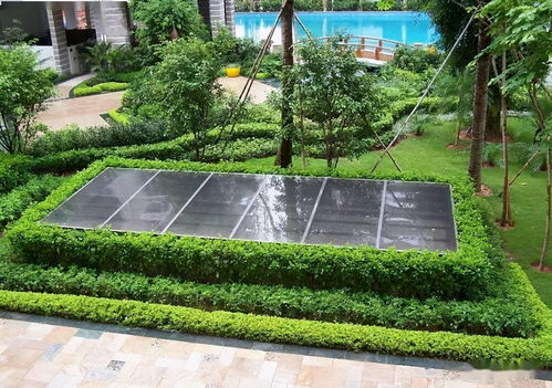 园林中的宿根花卉应用