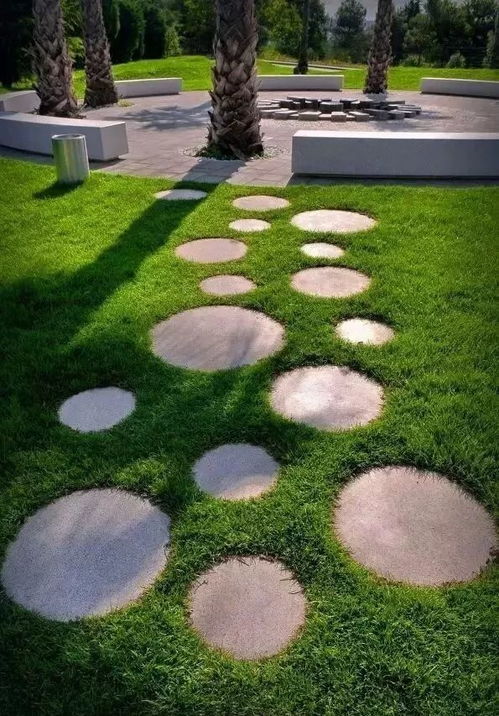 庭院种草，选对草种是关键