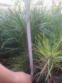 地区与季节的奥秘