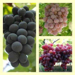 使用方法小贴士