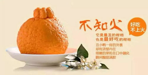 青见柑橘与丑橘有何不同？产地、口感、营养价值