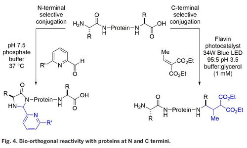 药物的立体化学：如同双胞胎的不同命运