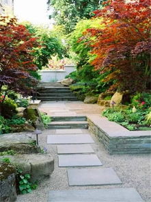 园林景观中，常见的铺装形式有哪些