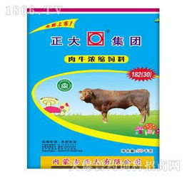 玉米水分含量高对育肥牛饲料的消化吸收和营养利用率有何显著影响？