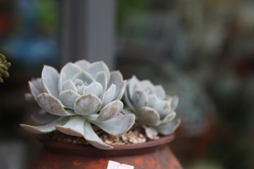 西南方位：财运与事业的象征