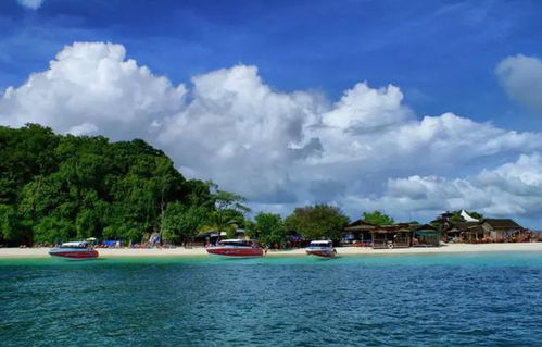 皮皮岛暂停旅游，为了保护环境