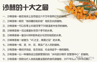 沙棘的误区，你中了几招？