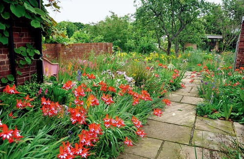 草本植物的种类与特点