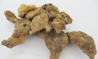 黄精价格多少一斤？近期市场行情如何