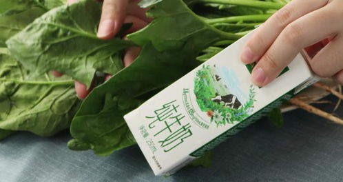 黄鳝不宜与牛奶、蟹、菠菜同食，易引发不适