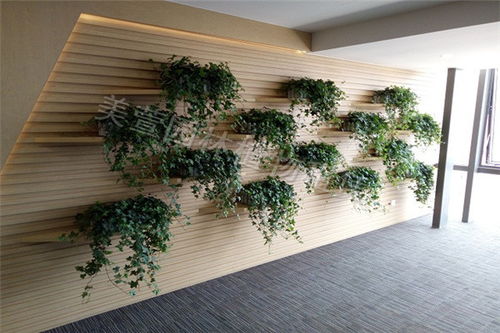 重点来了：公共绿地设计树种选择