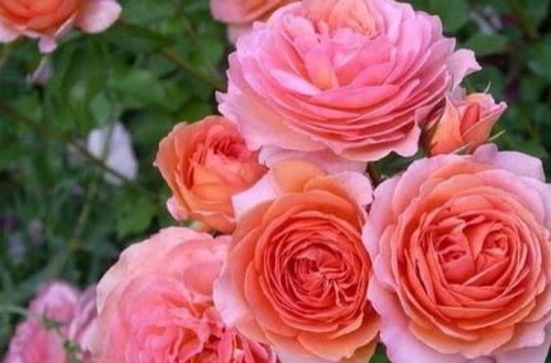 透气性，塑料瓶行不行？