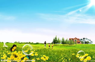 新疆戈壁公路旁的罗布麻， 耐风沙的守护者