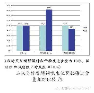 饲料调制不当导致日增重减少200克，如何三步实现全流程降本30%并避开陷阱？